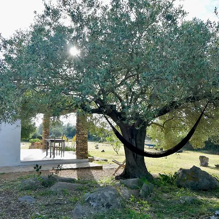 Stazzo La Chea Σπίτι διακοπών Nuragheddu